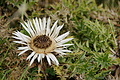 DSC07101 - Bernhard Saalfeld