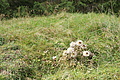 DSC07119 - Bernhard Saalfeld