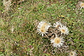 DSC07125 - Bernhard Saalfeld