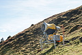 DSC07149 - Bernhard Saalfeld