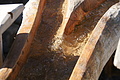 DSC07155 - Bernhard Saalfeld