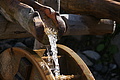 DSC07156 - Bernhard Saalfeld