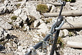 DSC07179 - Bernhard Saalfeld