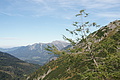 DSC07230 - Bernhard Saalfeld