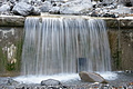 DSC07256 - Bernhard Saalfeld