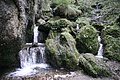 DSC07262 - Bernhard Saalfeld