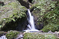 DSC07264 - Bernhard Saalfeld