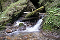 DSC07267 - Bernhard Saalfeld