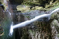 DSC07269 - Bernhard Saalfeld
