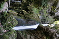 DSC07280 - Bernhard Saalfeld