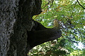 DSC07284 - Bernhard Saalfeld
