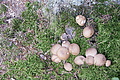 DSC07306 - Bernhard Saalfeld