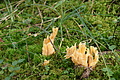 DSC07315 - Bernhard Saalfeld