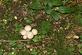DSC07338 - Bernhard Saalfeld