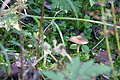 DSC07352 - Bernhard Saalfeld