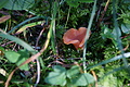 DSC07365 - Bernhard Saalfeld