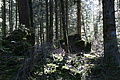 DSC07368 - Bernhard Saalfeld