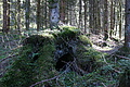 DSC07370 - Bernhard Saalfeld