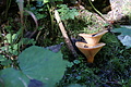 DSC07371 - Bernhard Saalfeld