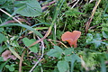 DSC07375 - Bernhard Saalfeld