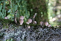 DSC07391 - Bernhard Saalfeld
