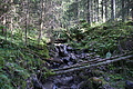 DSC07393 - Bernhard Saalfeld