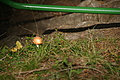 DSC07395 - Bernhard Saalfeld