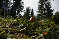 DSC07396 - Bernhard Saalfeld
