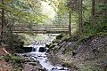 DSC07407 - Bernhard Saalfeld