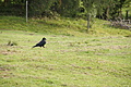 DSC07417 - Bernhard Saalfeld