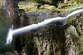 DSC07420 - Bernhard Saalfeld