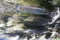 DSC07427 - Bernhard Saalfeld
