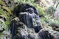 DSC07428 - Bernhard Saalfeld
