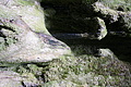 DSC07433 - Bernhard Saalfeld
