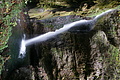 DSC07435 - Bernhard Saalfeld