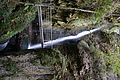 DSC07436 - Bernhard Saalfeld