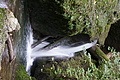DSC07438 - Bernhard Saalfeld