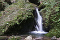 DSC07439 - Bernhard Saalfeld