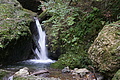 DSC07440 - Bernhard Saalfeld