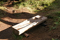 DSC07460 - Bernhard Saalfeld