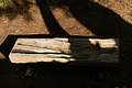 DSC07463 - Bernhard Saalfeld