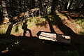 DSC07464 - Bernhard Saalfeld