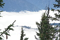 DSC07494 - Bernhard Saalfeld