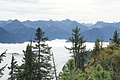 DSC07496 - Bernhard Saalfeld