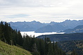 DSC07513 - Bernhard Saalfeld