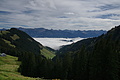 DSC07537 - Bernhard Saalfeld