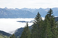 DSC07541 - Bernhard Saalfeld