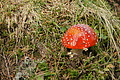 DSC07543 - Bernhard Saalfeld