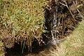 DSC07544 - Bernhard Saalfeld