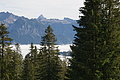 DSC07553 - Bernhard Saalfeld